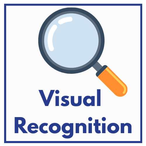 Visual Recognition